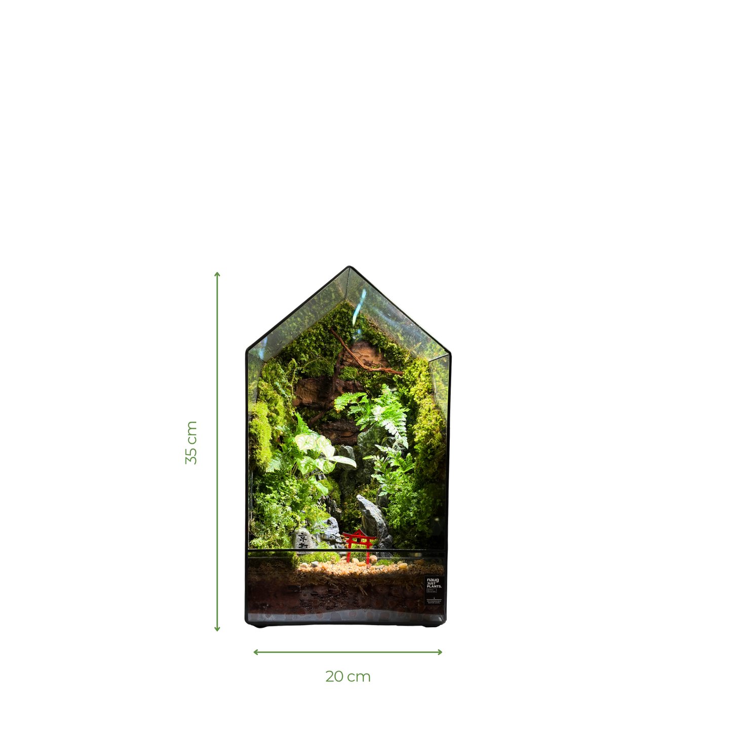 GreenHouse Terrarium 20CM X 20CM X 35CM