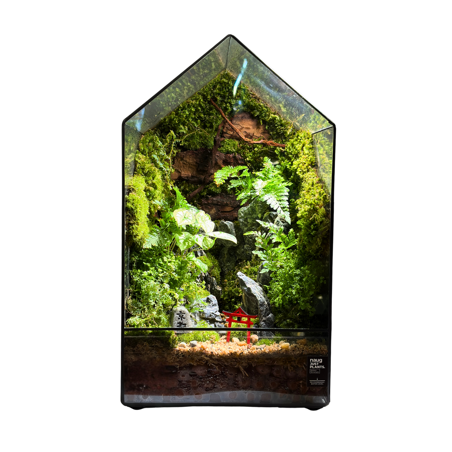 GreenHouse Terrarium 20CM X 20CM X 35CM