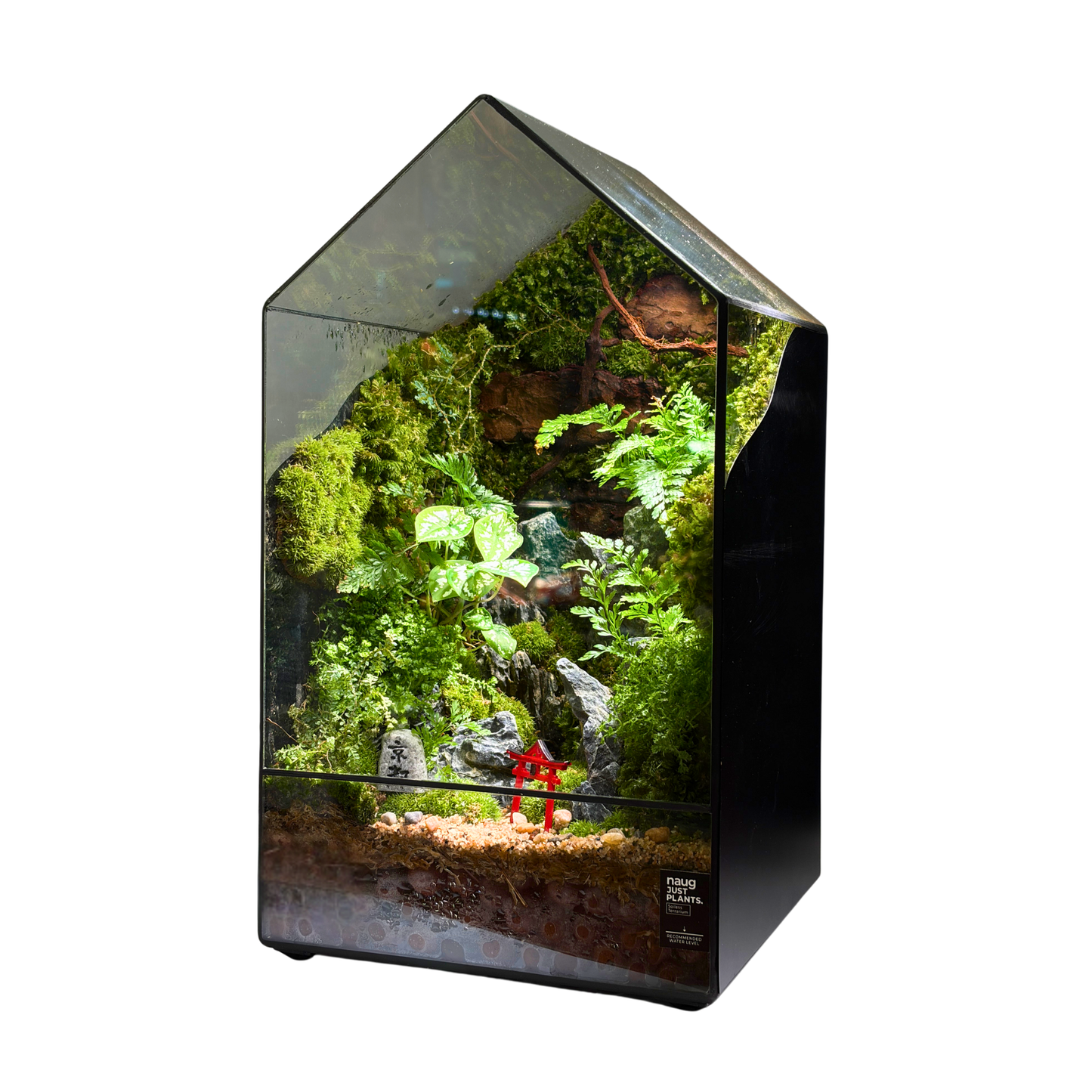GreenHouse Terrarium 20CM X 20CM X 35CM