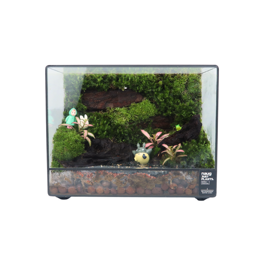 Green Wall Terrarium Series
