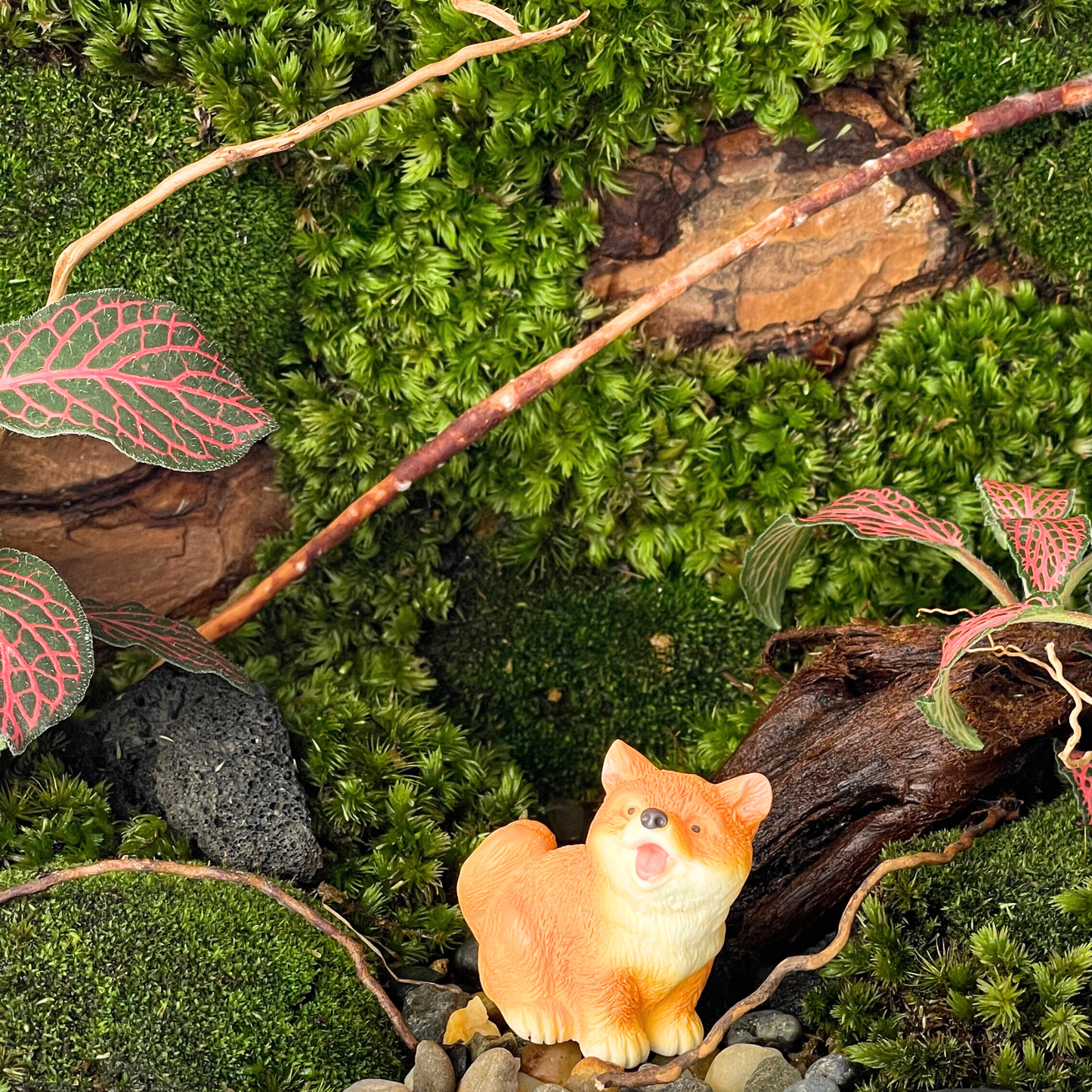 Green Wall Terrarium Series