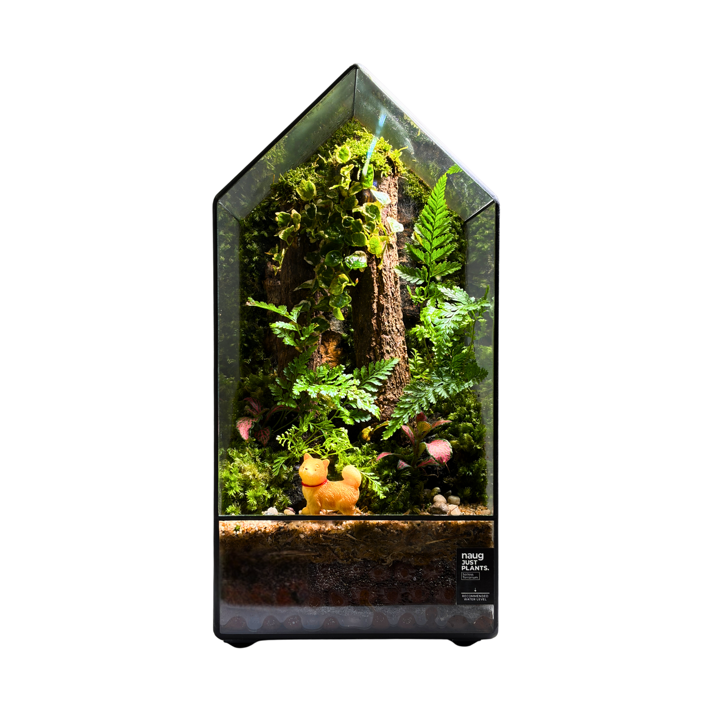 GreenHouse Terrarium 15CM X 15CM X 30CM