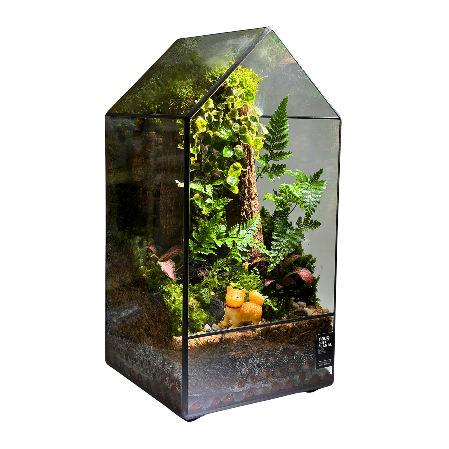 GreenHouse Terrarium 15CM X 15CM X 30CM