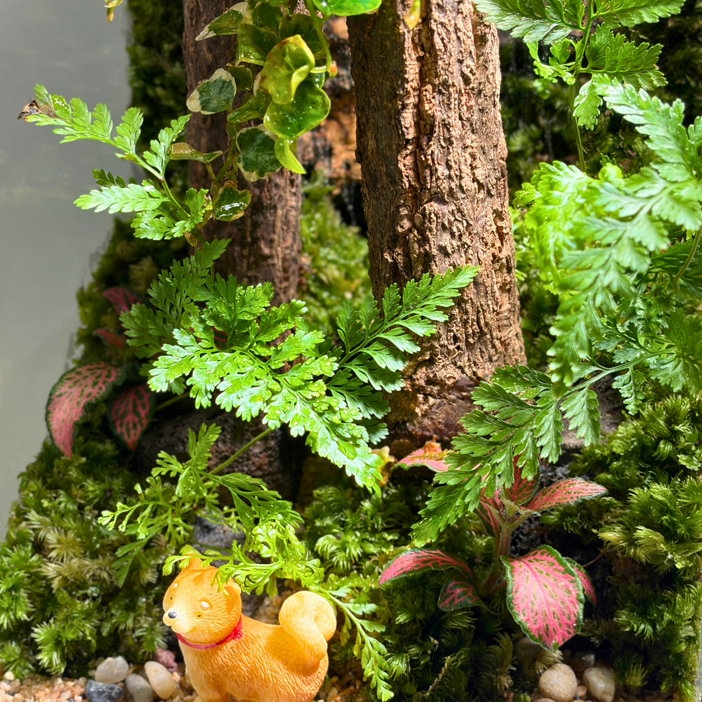 GreenHouse Terrarium 15CM X 15CM X 30CM