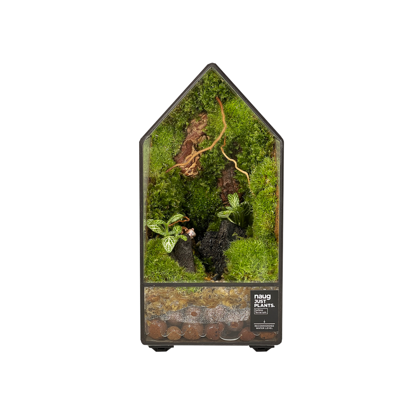 Green Wall Terrarium Series