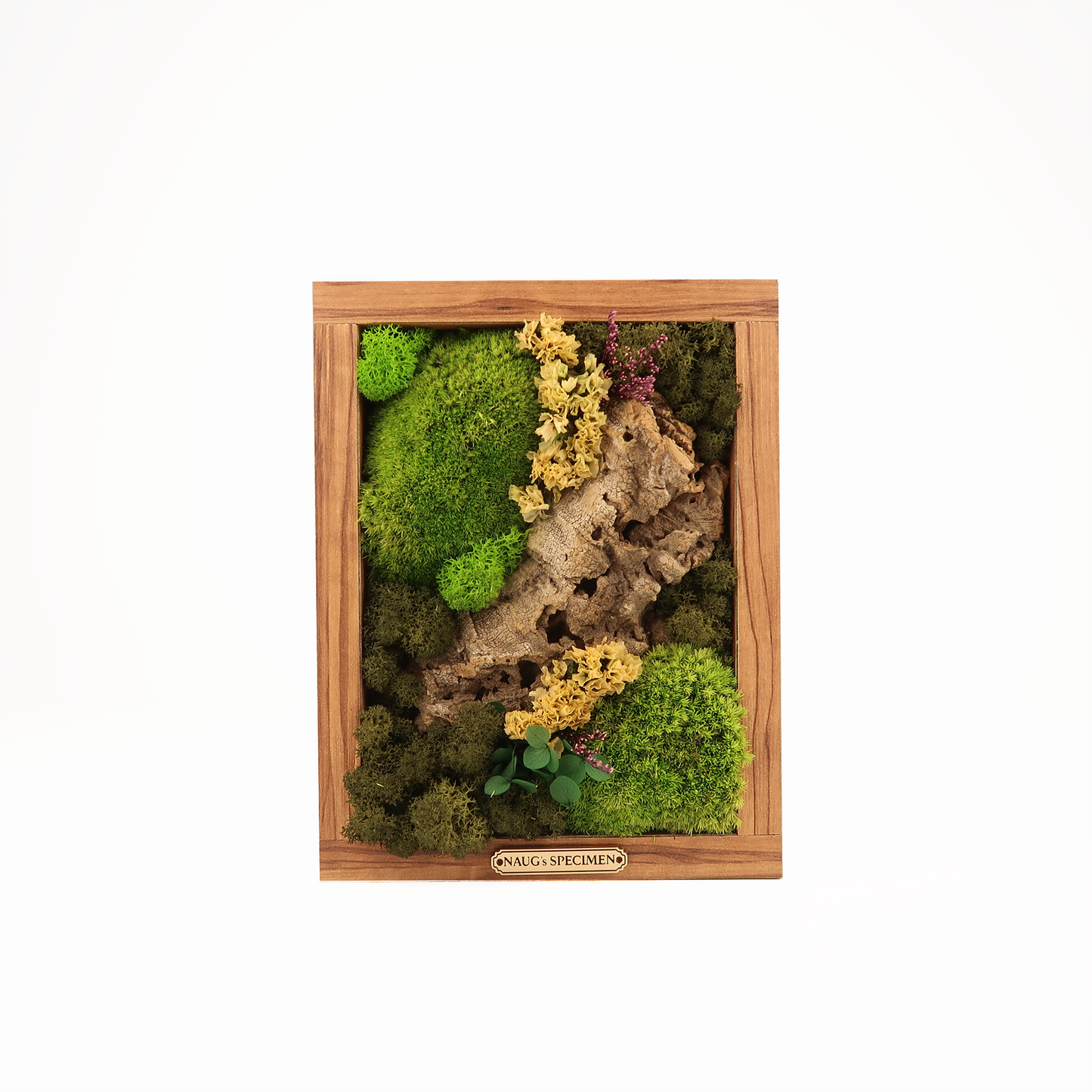 Preserved Moss Frame 280 with Cork Bark