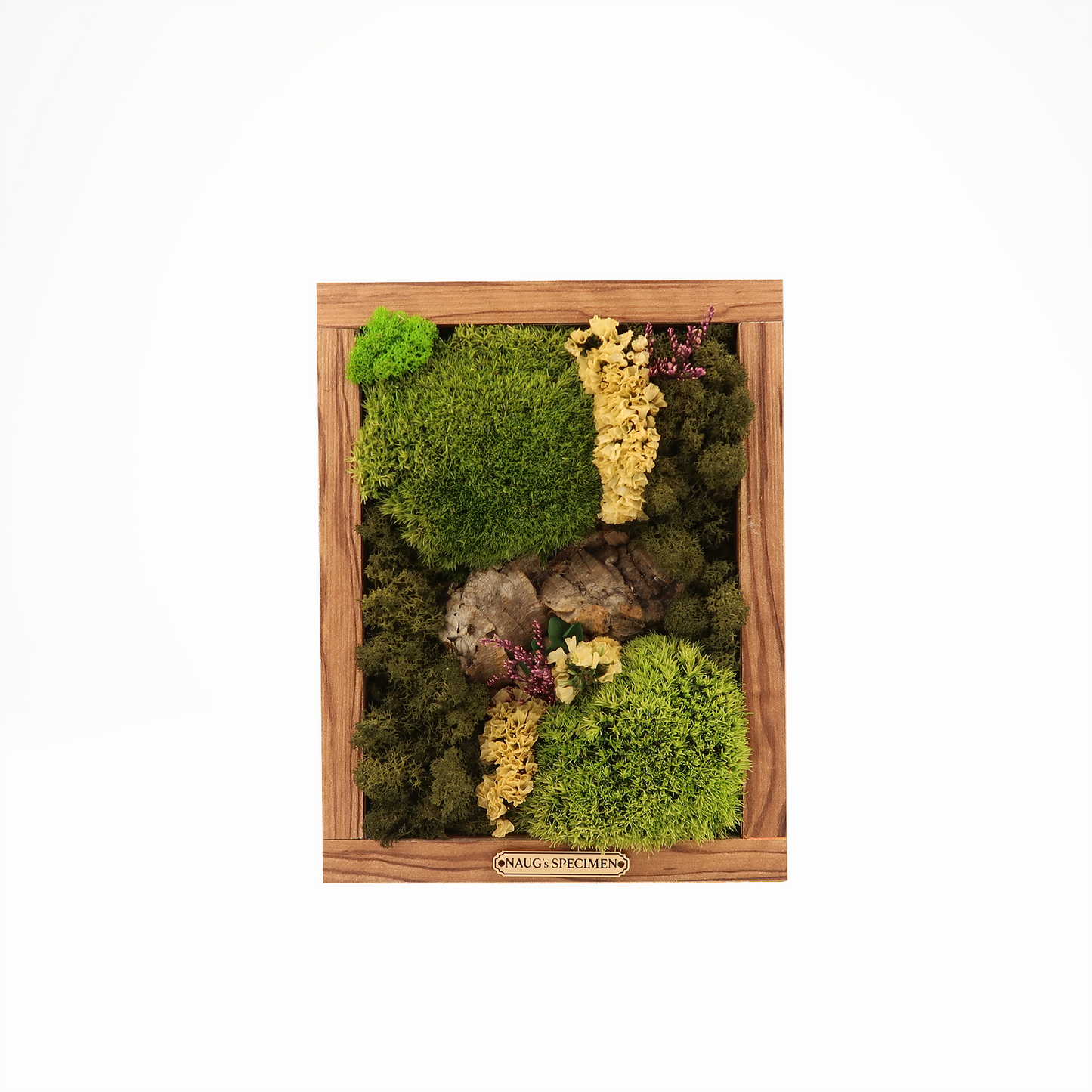 Preserved Moss Frame 280 with Cork Bark
