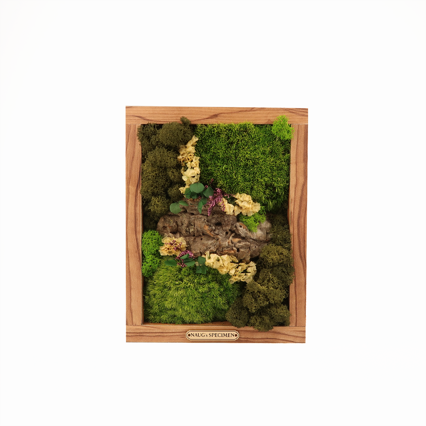 Preserved Moss Frame 280 with Cork Bark
