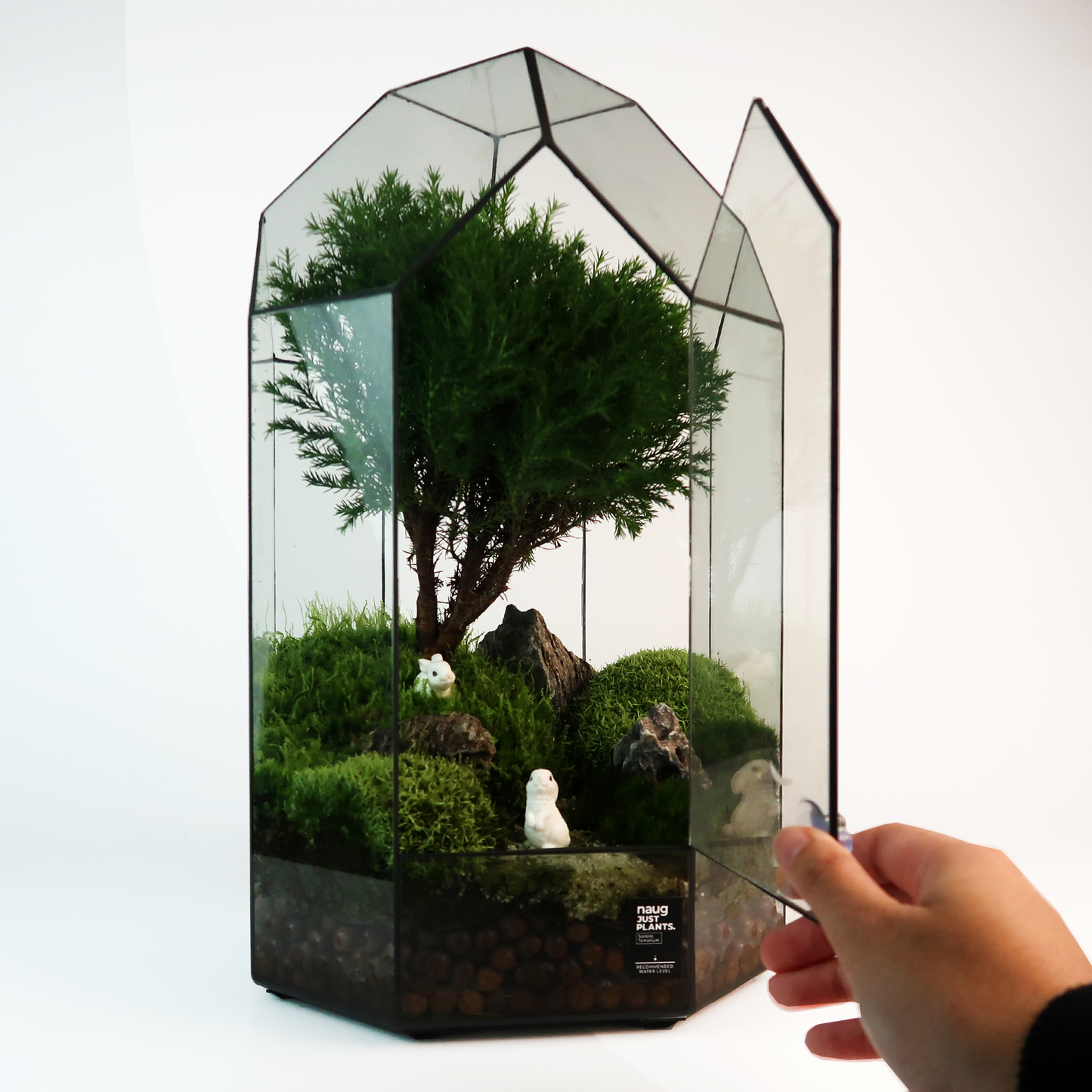 8 Side Terrarium Series
