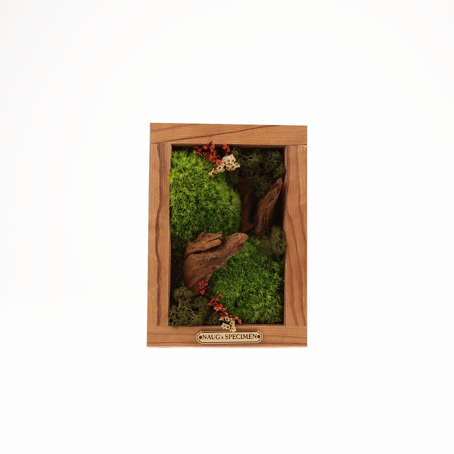 Preserved Moss Frame 180 with Driftwood