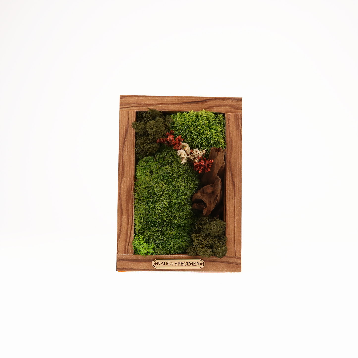Preserved Moss Frame 180 with Driftwood