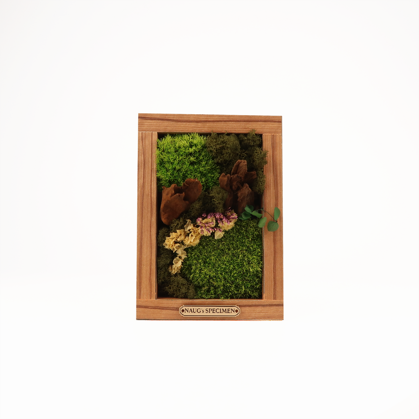 Preserved Moss Frame 180 with Driftwood