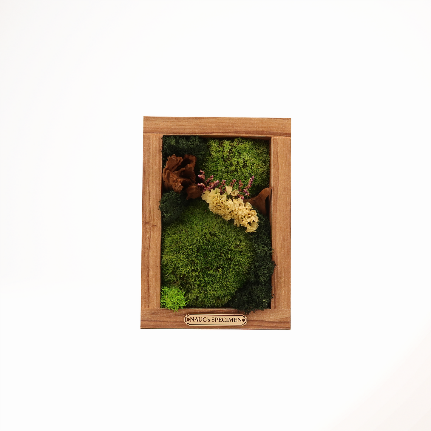 Preserved Moss Frame 180 with Driftwood