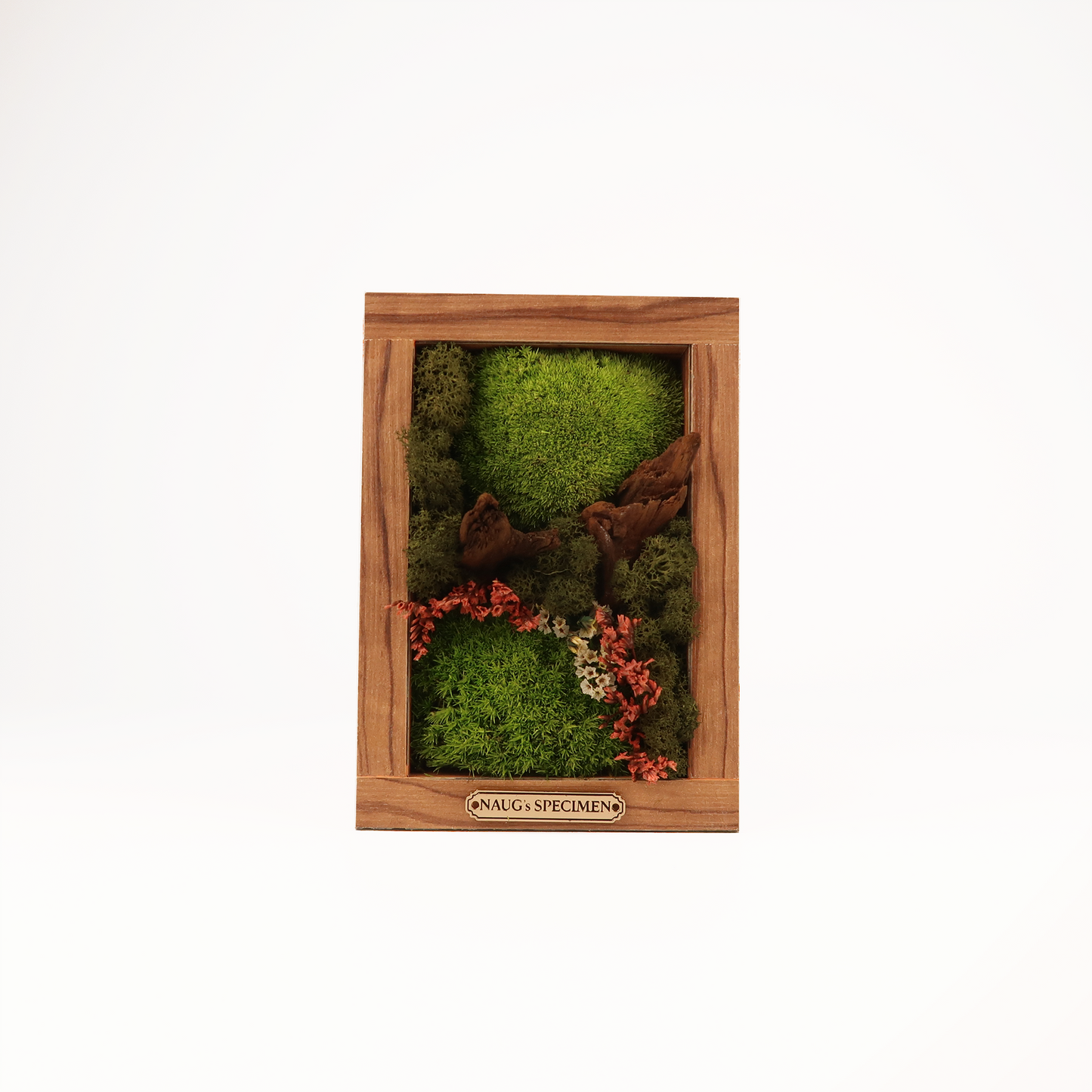 Preserved Moss Frame 180 with Driftwood