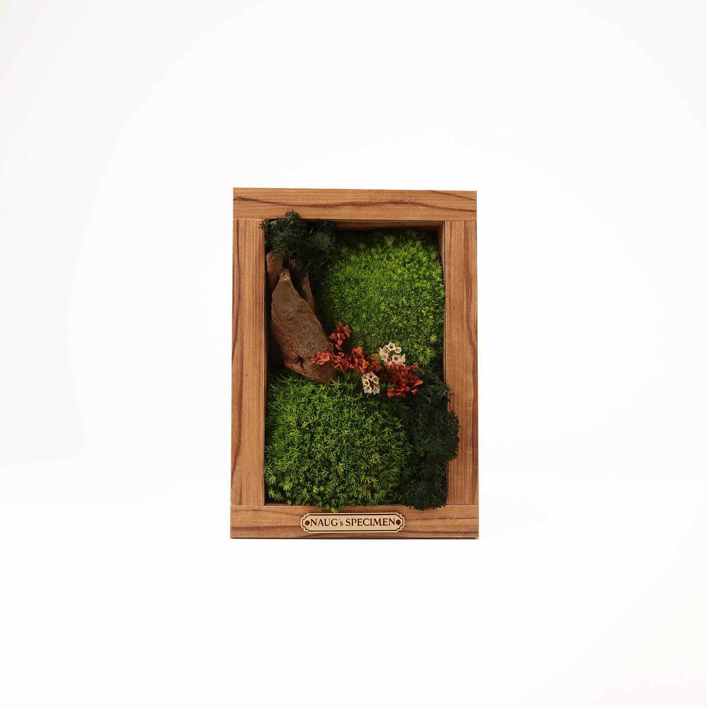Preserved Moss Frame 180 with Driftwood