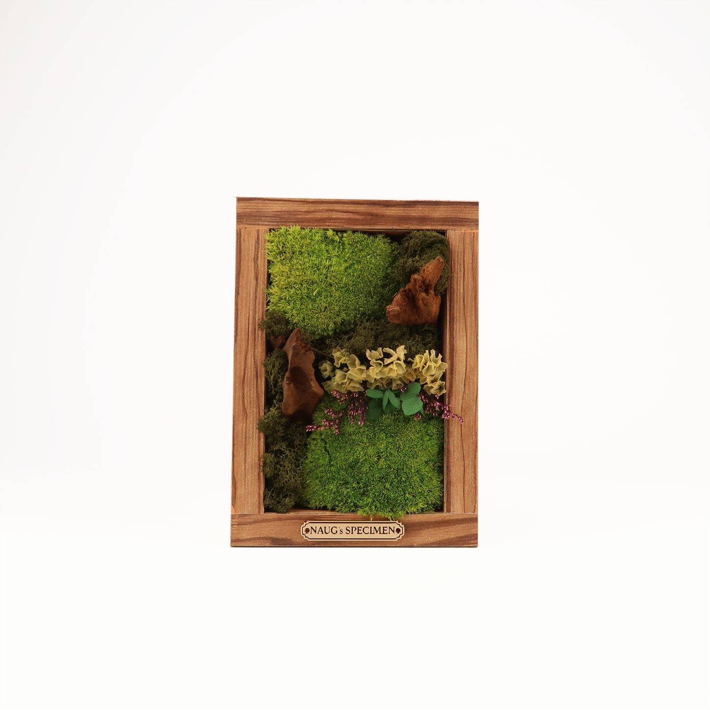 Preserved Moss Frame 180 with Driftwood