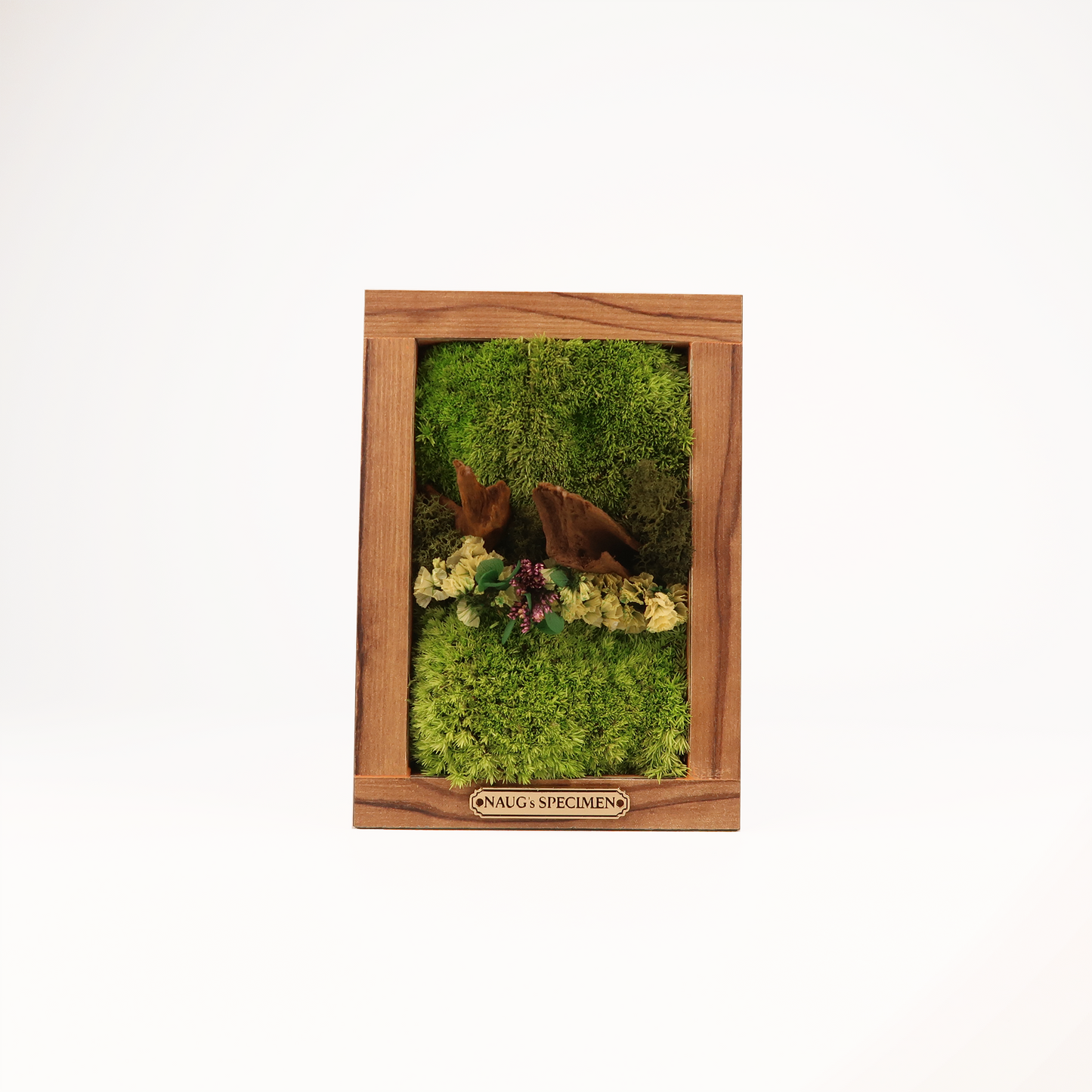 Preserved Moss Frame 180 with Driftwood
