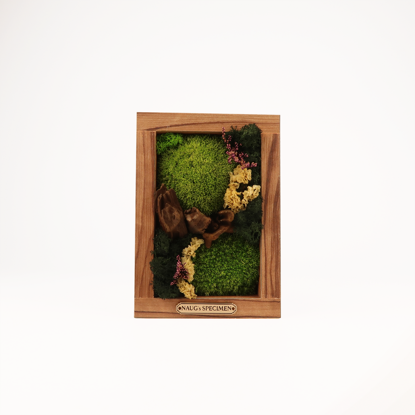 Preserved Moss Frame 180 with Driftwood