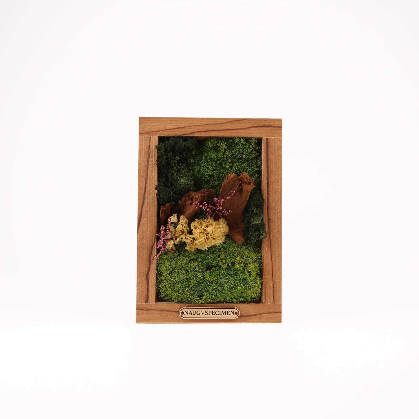 Preserved Moss Frame 180 with Driftwood