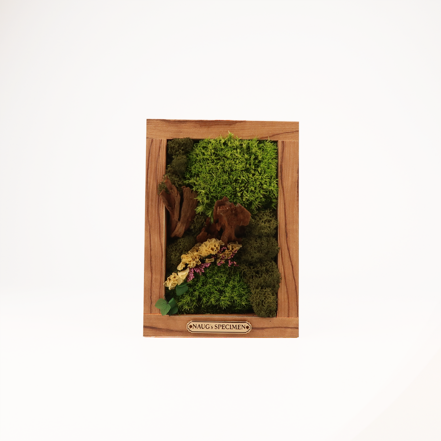 Preserved Moss Frame 180 with Driftwood