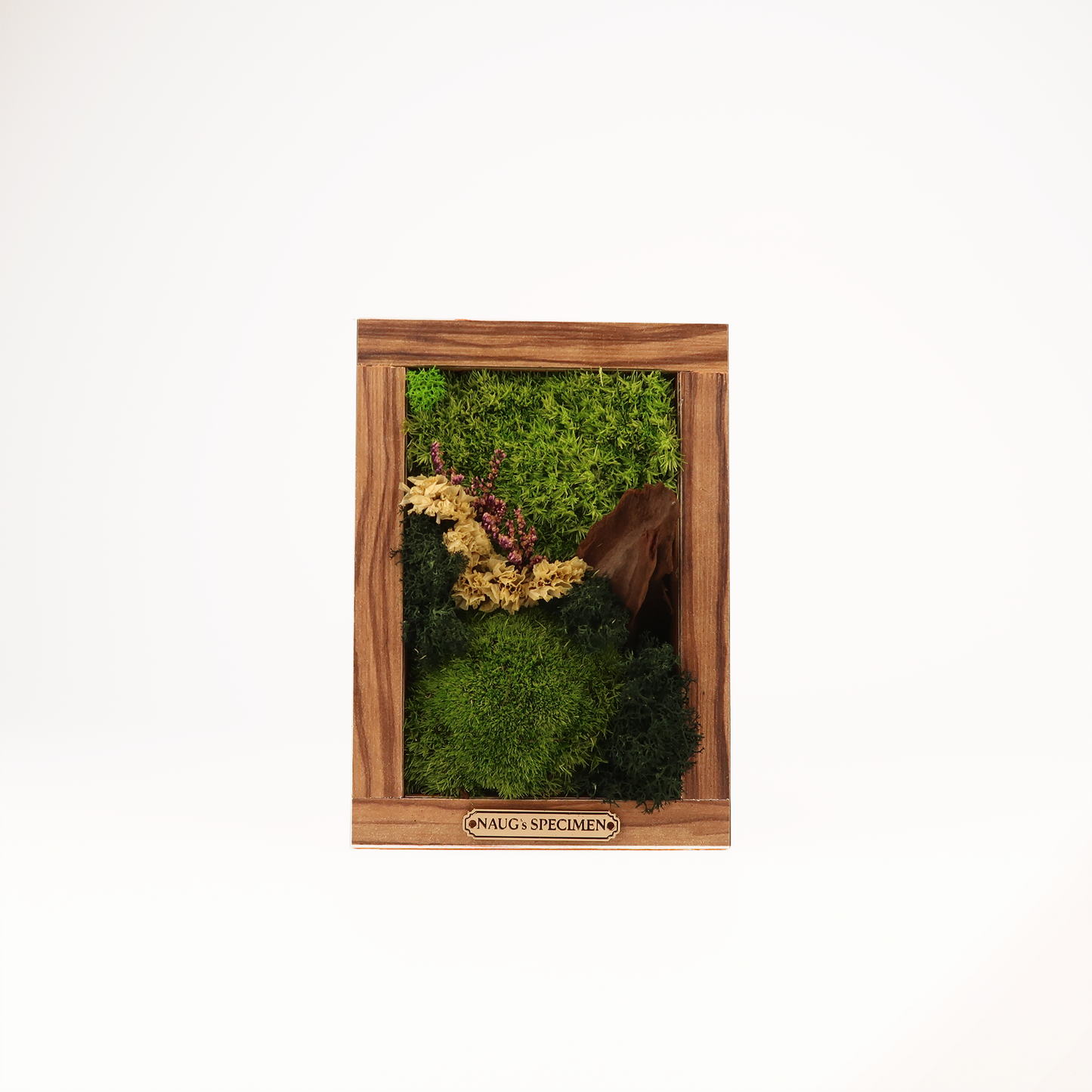 Preserved Moss Frame 180 with Driftwood