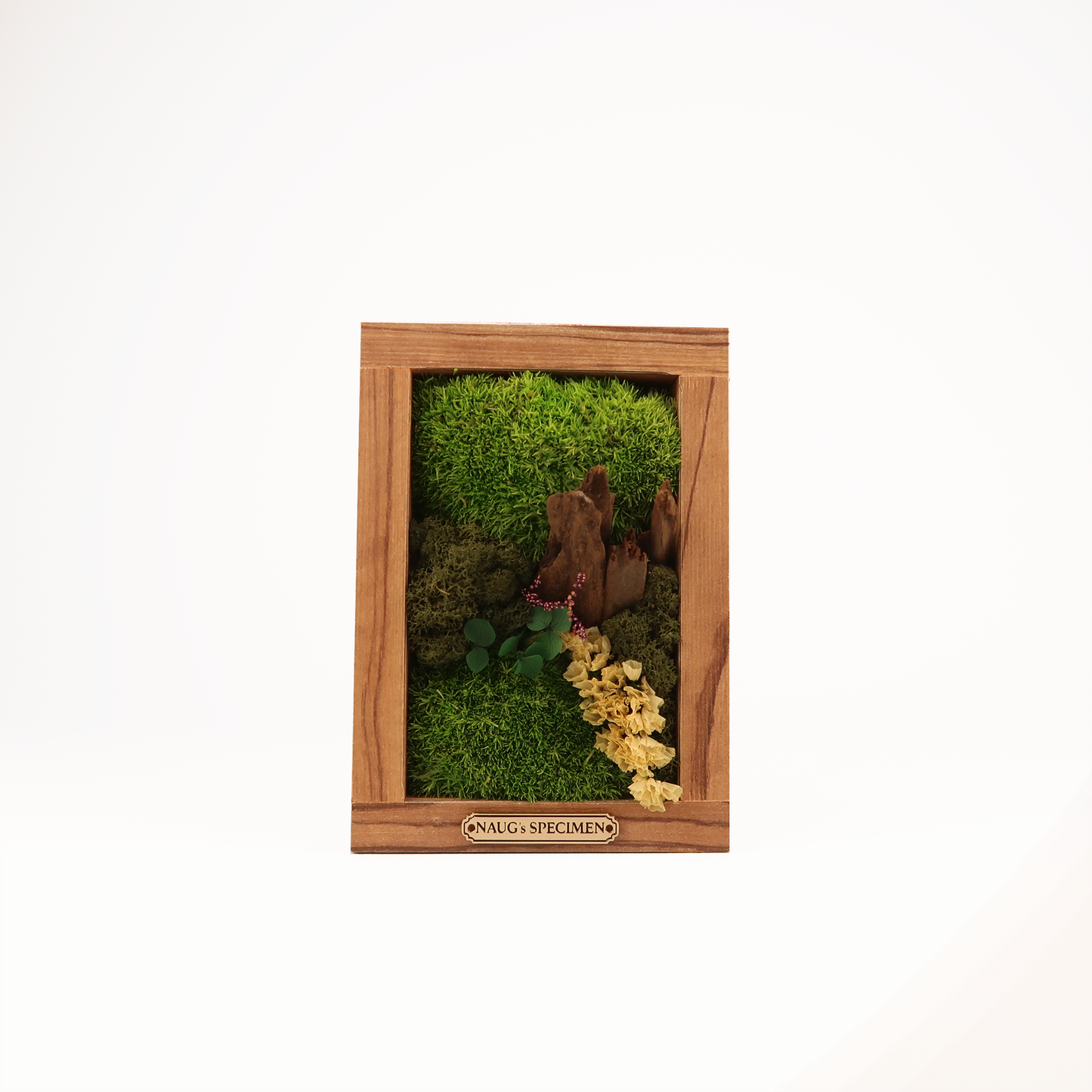 Preserved Moss Frame 180 with Driftwood