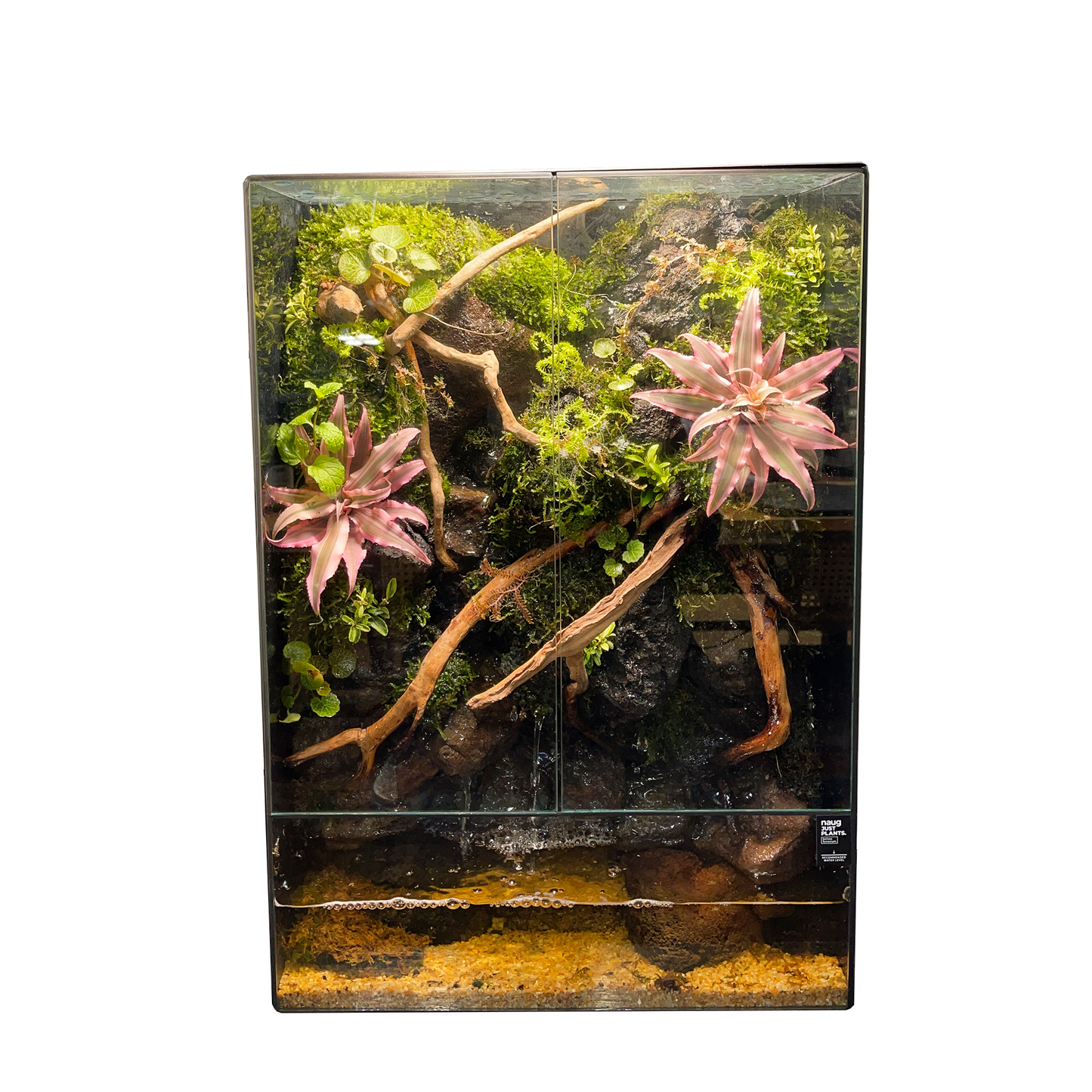 Paludarium Series [Customized]