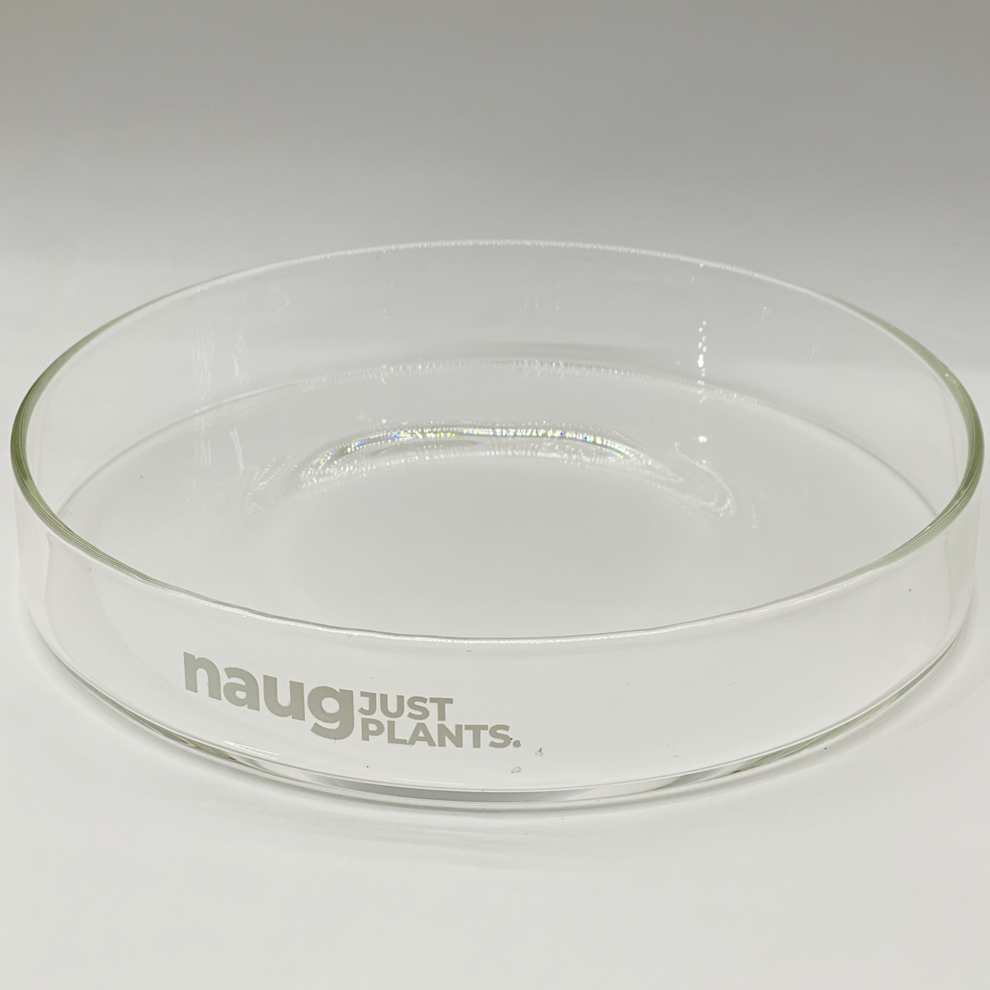 Ishidama Glass Tray