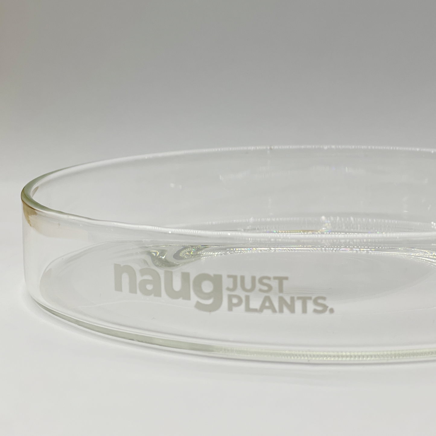 Ishidama Glass Tray