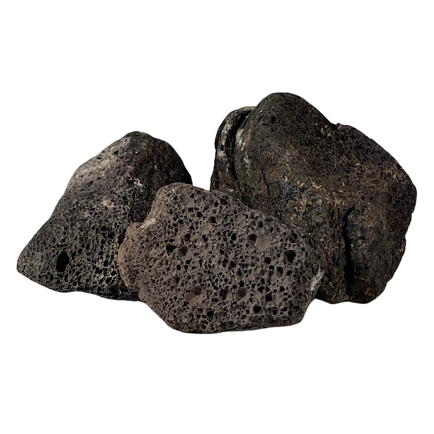 Terrarium Supplies - Lava Rock