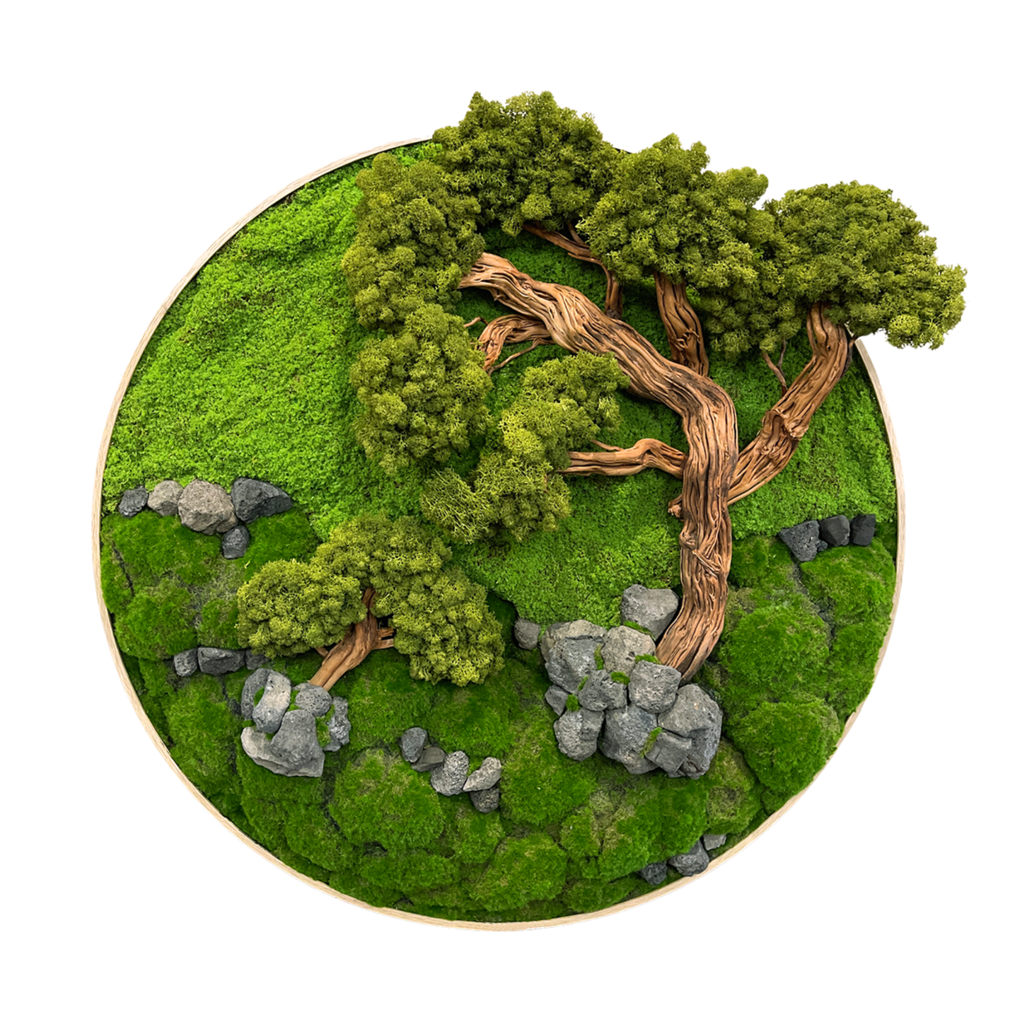 Bonsai Preserved Moss Frame 90CM