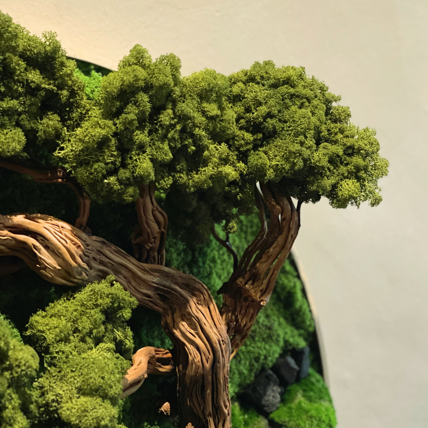 Bonsai Preserved Moss Frame 90CM