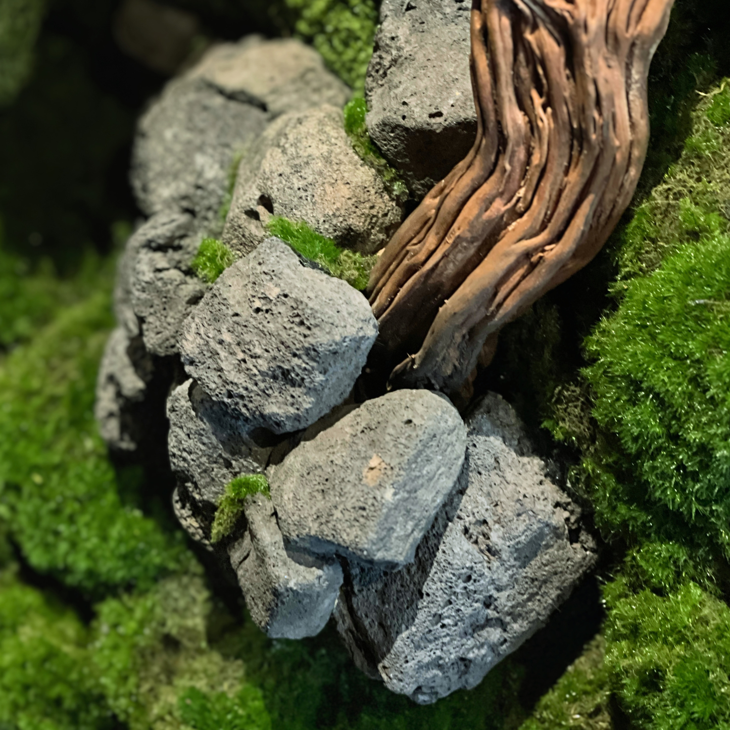 Bonsai Preserved Moss Frame 90CM
