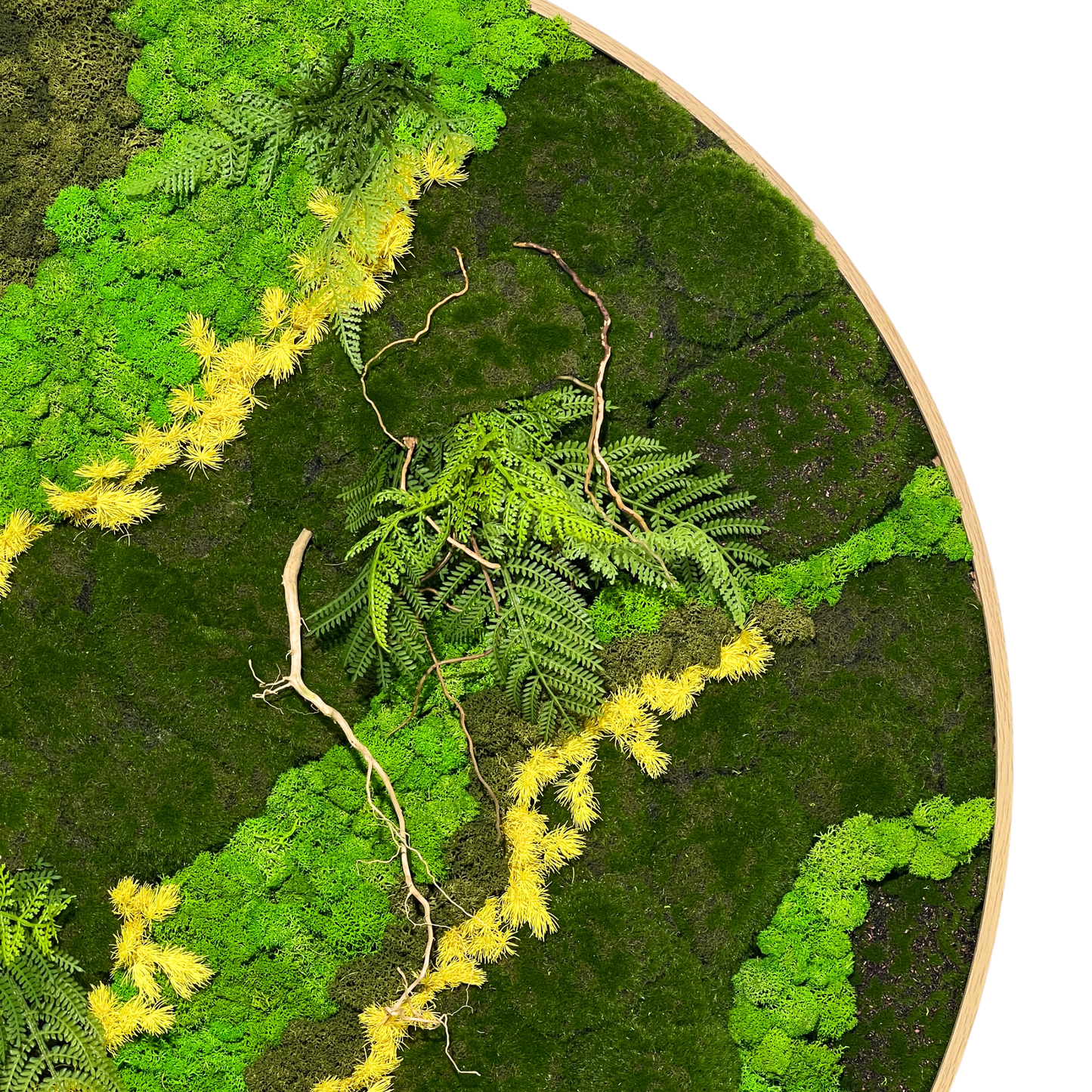 Preserved Moss Frame with 90CM