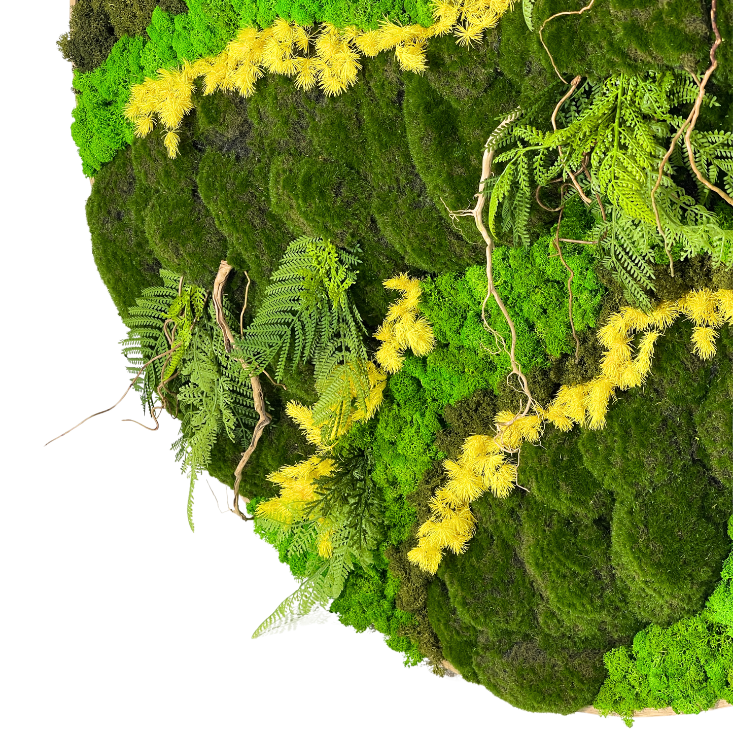 Preserved Moss Frame with 90CM