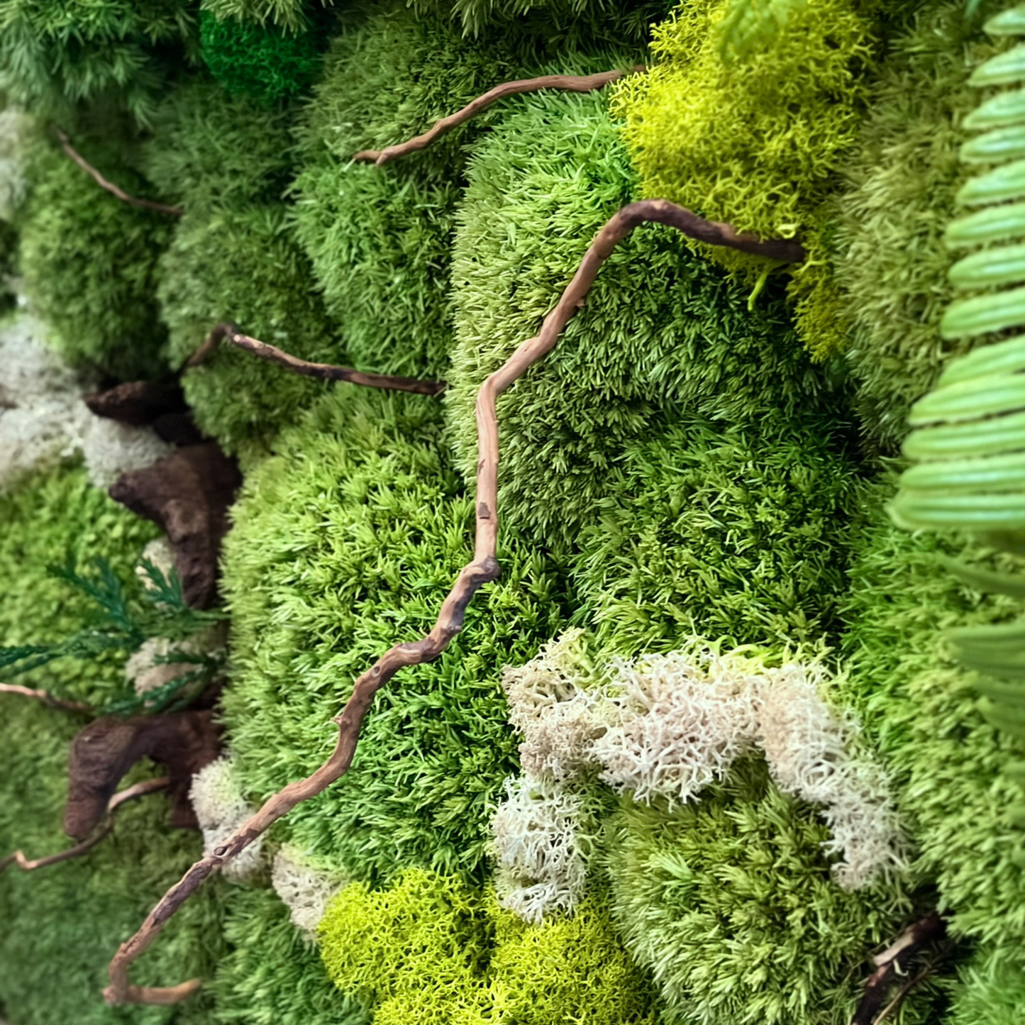 Preserved Moss Frame with mirror 90CM