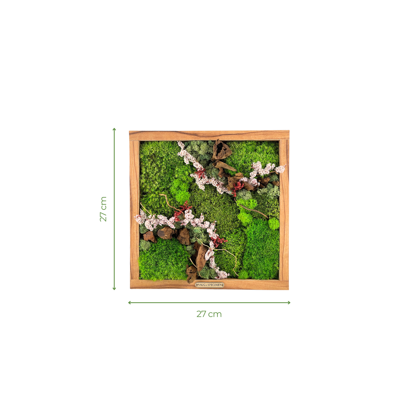 Preserved Moss Frame with Driftwood 27CM x 27CM