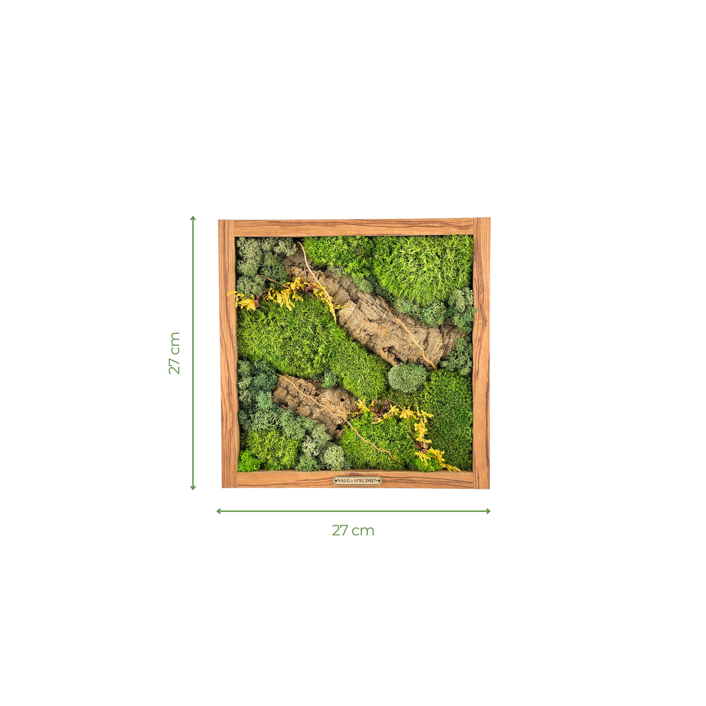 Preserved Moss Frame with Cork Bark 27CM x 27CM