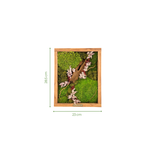 Preserved Moss Frame with Driftwood 28.5CM x 23CM