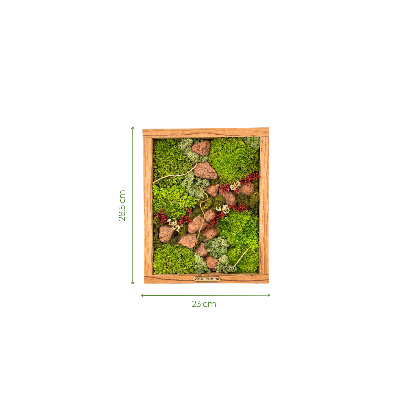 Preserved Moss Frame with Lava Rock 28.5CM x 23CM