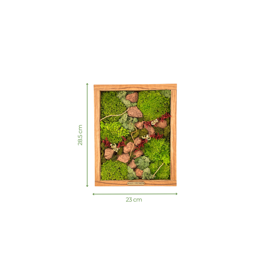 Preserved Moss Frame with Lava Rock 28.5CM x 23CM