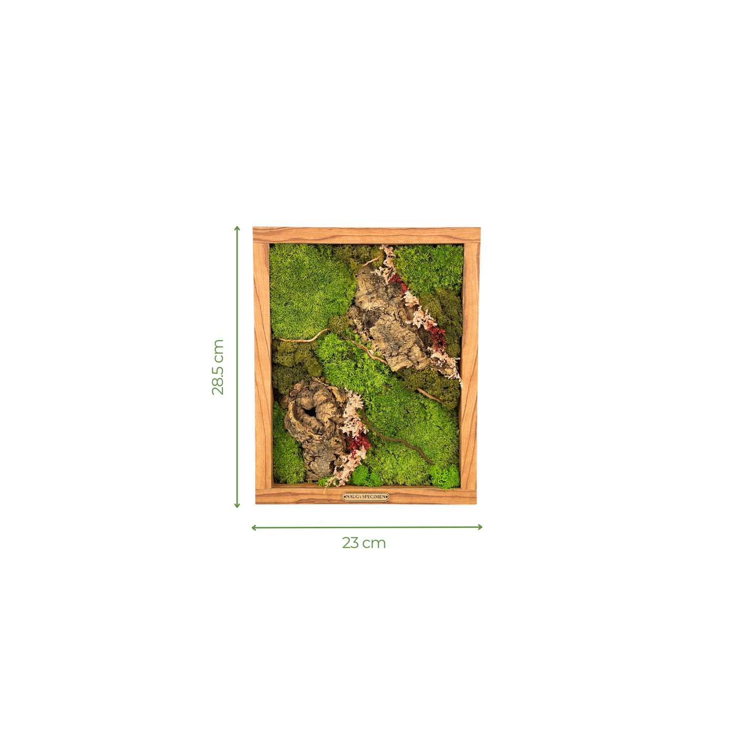 Preserved Moss Frame with Cork Bark 28.5CM x 23CM