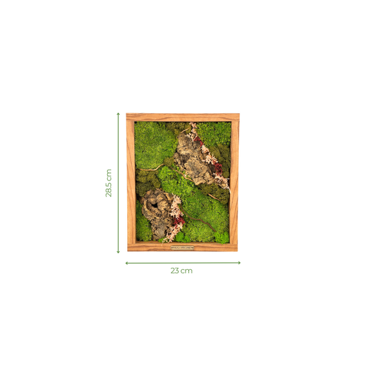 Preserved Moss Frame with Cork Bark 28.5CM x 23CM