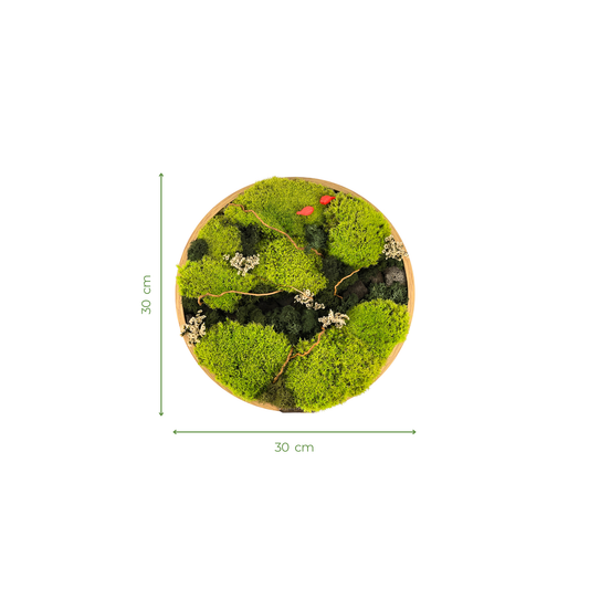 Preserved Moss Frame with Figurines 30CM