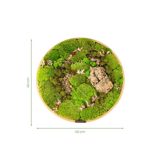 Preserved Moss Frame with Cork Bark 40CM