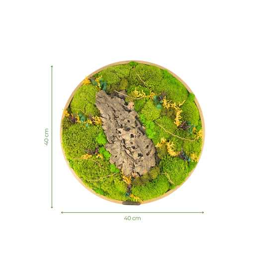 Preserved Moss Frame with Cork Bark 40CM
