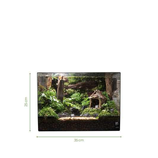 Green Wall Terrarium Series