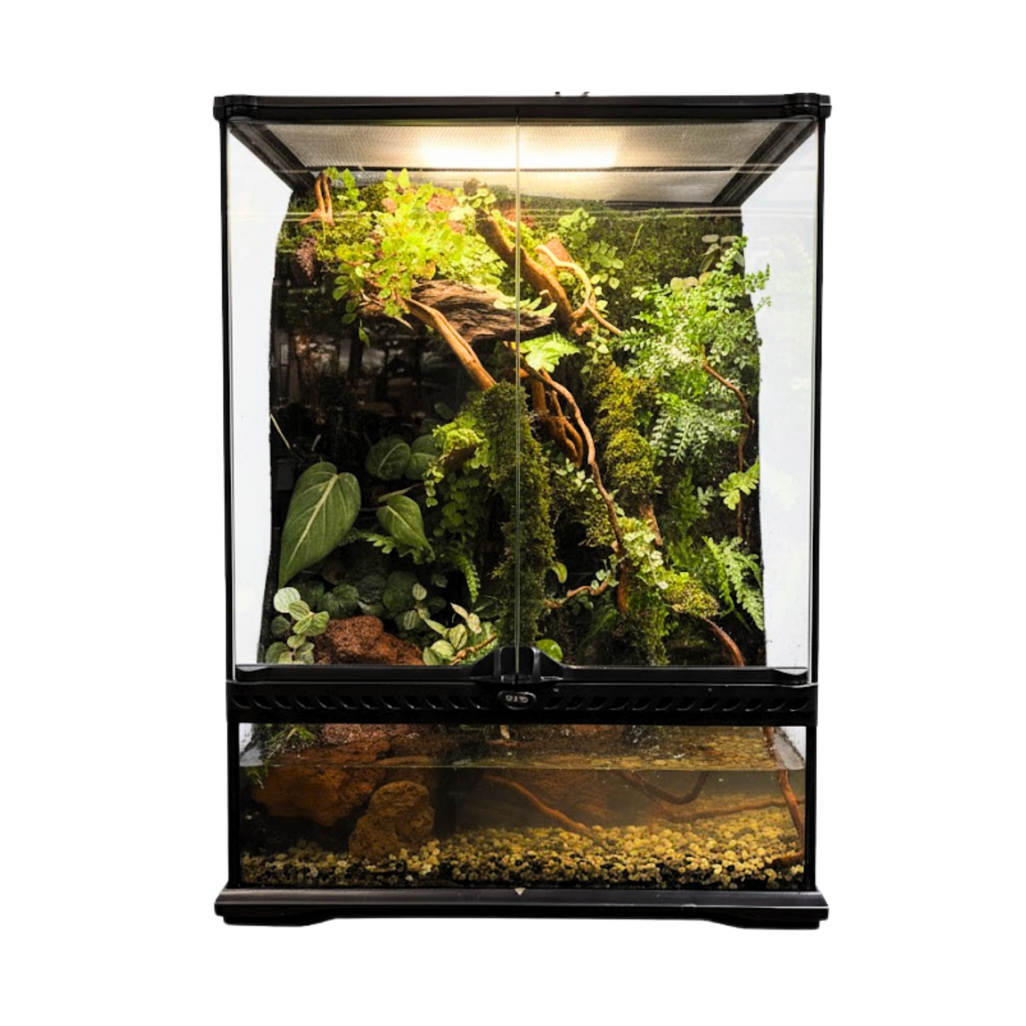 Paludarium Series