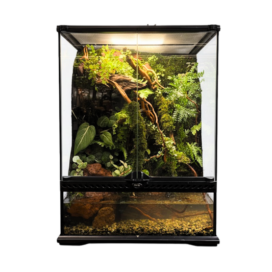 Paludarium Series