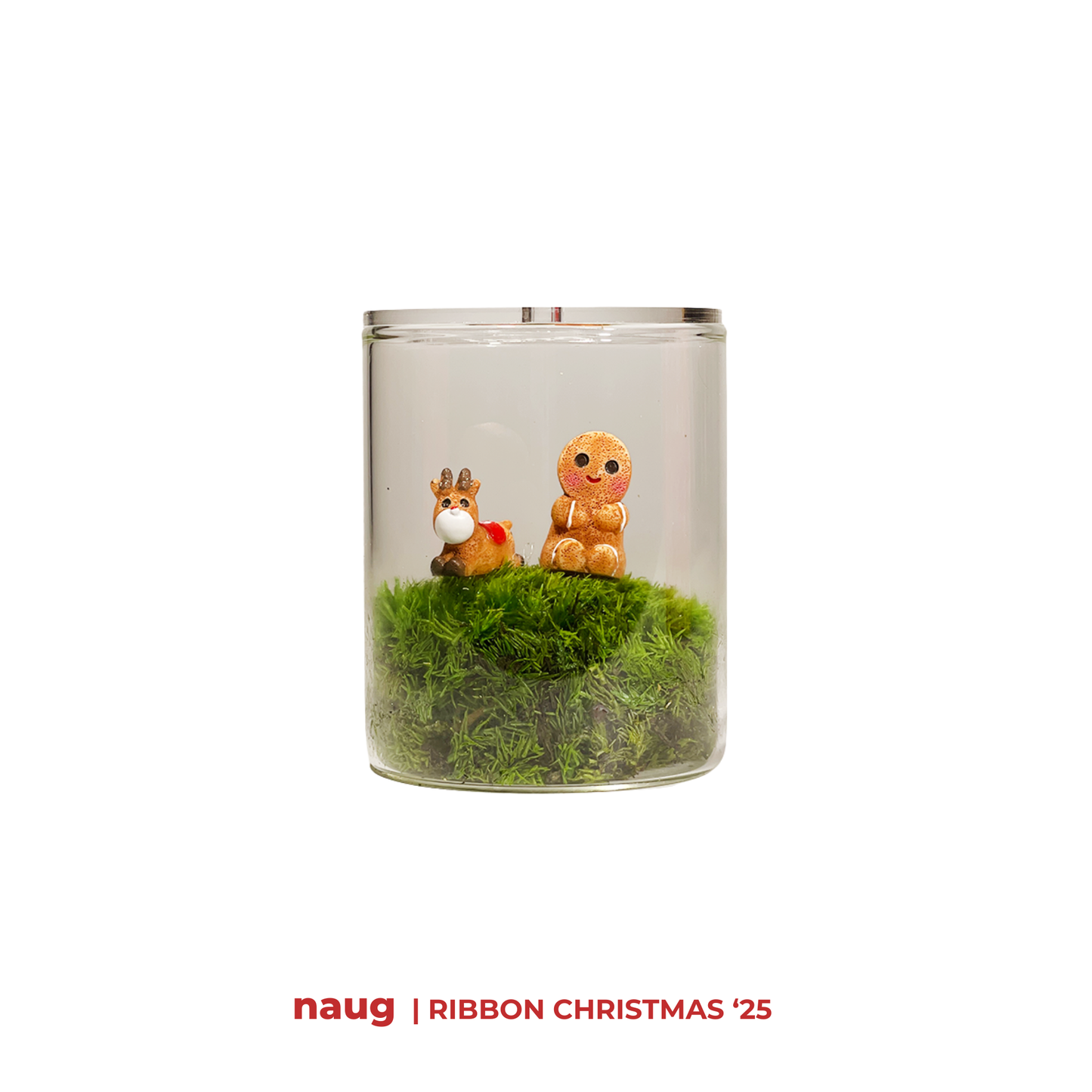 Christmas Exclusive Preserved Moss Terrarium